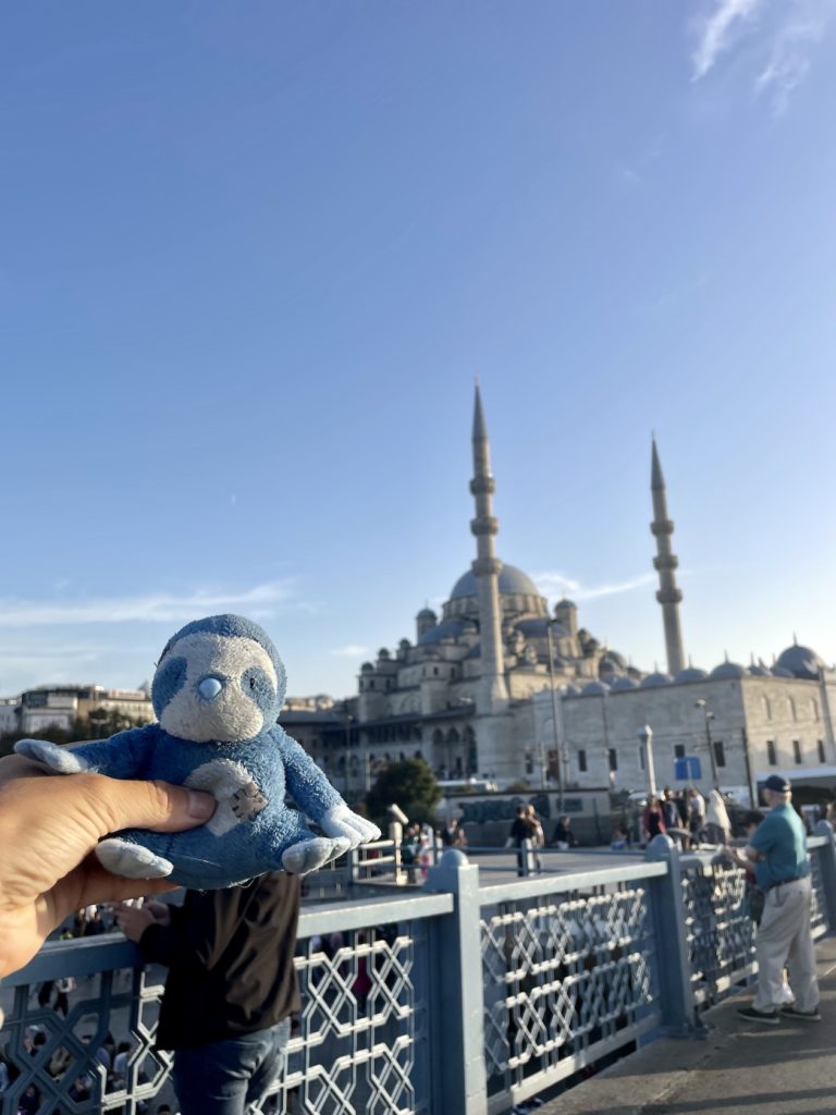 The Blue Mosque in Istanbul